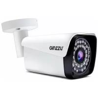 Камера видеонаблюдения Ginzzu HAB-2301A
