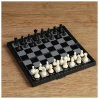 Настольная игра, набор 3в1 "Зук": нарды, шахматы, шашки, магнитная доска 24.5х24.5 см