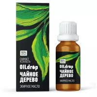 OiLdrop эфирное масло Чайное дерево 10 мл