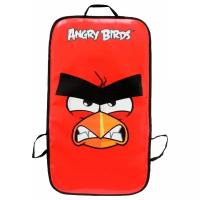 Ледянка 1 TOY Angry Birds (Т59206)