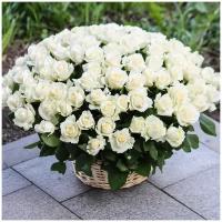 Букет свежих цветов из 101 белой розы в корзине