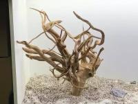 Декор аквариумные Коряга корень азалии 40-80см лот 016