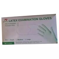 Перчатки латексные Examination Gloves неопудренные, размер L, 50 пар, 100 штук , телесные