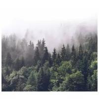 Фотообои флизелиновые Premium "Туман в горах" 270х253 см (ШхВ)