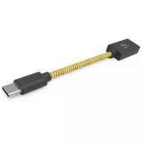 Кабель USB OTG iFi Audio OTG Cables (Type-C)