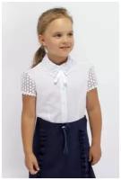 Блузка сорочка, школьная блузка, Андис, короткий рукав
