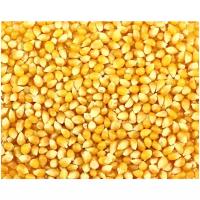 Крупное зерно кукурузы для приготовления попкорна (Премиум) / в микроволновой печи / в сковороде, казане