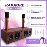 Караоке система для дома с двумя микрофонами DAIMAX Artifact