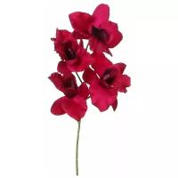 Цветок фаленопсиса пурпурно-красный, 26 см, Edelman