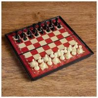 Шахматы "Ламберт", магнитные, 19 х 19 см