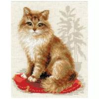 Набор для вышивания Риолис 'Кошка домашняя' 24*30 см (1525)