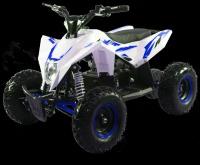 MOTAX Квадроцикл Gekkon 1300W, белый/синий