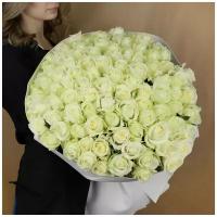 Букет живых цветов из 101 белой розы в упаковке 60см