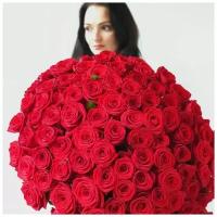 101 красная роза букет