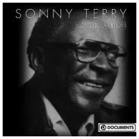 Sonny Terry-Worried Man Blues PastPerfect CD import ( Компакт-диск 1шт) блюз распродажа sale