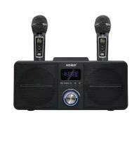 SDRD SD 309 (Чёрный) - караоке система с двумя перезаряжаемыми радиомикрофонами, Bluetooth