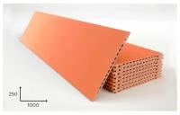 Керамогранитная плита FAVEKER GA16 для НФС, Salmon, 1000*250*18 мм