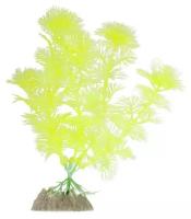 Растение флуоресцирующее GLOFISH желтое М 15 см