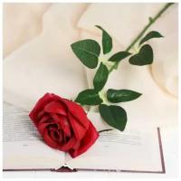 Цветы искусственные LIVE "Роза королевская" 7х55 см, бордовый
