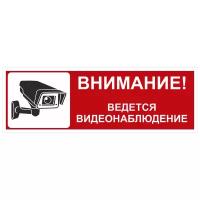 Информационная табличка "Ведётся видеонаблюдение" 300х100 мм