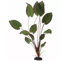 Растение для аквариума Barbus "Эхинодорус бархатный", шелковое, цвет: зеленый, бордовый, высота 50 см