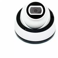 IP камера купольная RV-208NIP200F