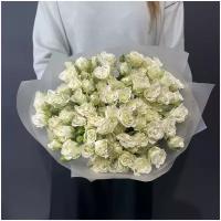 Светбукет Букет из 25 белых кустовых роз