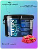 Гейнер Titan Creatine 4000 г/ набор массы веса/ Gainer MASS/ высокоуглеводный/ высококалорийный/ белковый/ клубника/
