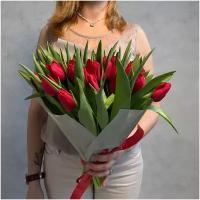 Букет из 35 красных тюльпанов сорта стронг ЛАВ 40см (россия) с атласной лентой