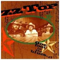 Компакт-диски, Warner Bros. Records, ZZ TOP - One Foot In The Blues (CD)