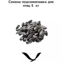 Семена подсолнечника сырые 5 кг
