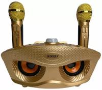 Караоке система SDRD SD-306 / bluetooth колонка с двумя микрофонами / колонка-караоке Сова золото