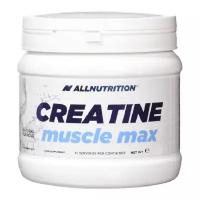 Креатин All Nutirtion Creatine muscle max 500 гр