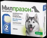 KRKA Милпразон таблетки для собак весом более 5 кг, 2 таб