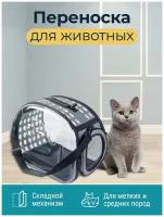 SSPODI Переноска для животных. Переноска для кошек и собак до 15 кг. Складная сумка-переноска.
