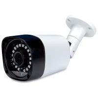 IP камера PS-Link IP102P