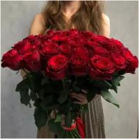 Букет из 51 красных роз сорта РОДОС 60см (КЕНИЯ) с атласной лентой