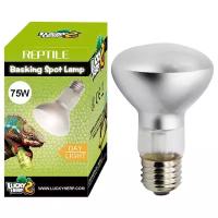 Лампа Basking Spot Lamp Normal дневного света греющая "Lucky Herp" R80, 75w, для рептилий