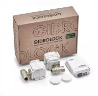 Комплект GIDROLOCK STANDARD RADIO G-Lock 1/2