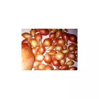 Семена лук-севок Центурион, 1 кг
