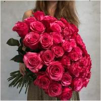 Букет из 51 ярко розовых роз сорта ЛОЛА 60см (ЭКВАДОР) с атласной лентой