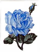 Канва жесткая с рисунком Голубая роза 20 x 25 см 43.101
