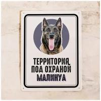 Металлическая табличка с надписью Территория под охраной Малинуа для интерьера дачи на калитку , идея подарка владельцу собаки , металл, 20х30см.