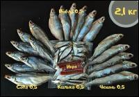 Рыбный набор №6 (Вобла+Чехонь+Сопа+Килька+Икра) 2,1 кг