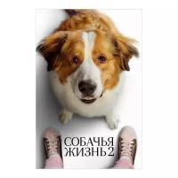 Собачья жизнь 2 (DVD)