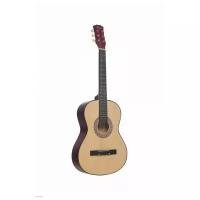 Акустическая гитара Colombo LF-3801/N