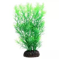 Растение Laguna Гетерантера зеленая для акариумов (20 см)