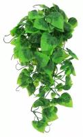 Растение для террариумов декоративное LUCKY REPTILE "Philo", 40см (Германия)