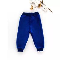 Детские штаны / детские брюки / штанишки / Снолики велсофт, синий р-р 80