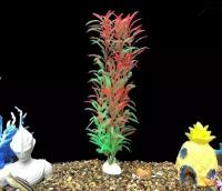 Растения, для аквариумов и террариумов 30 см